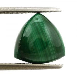 Cabochon Malachite Trillion Shape Gemstone All Calibrated Size