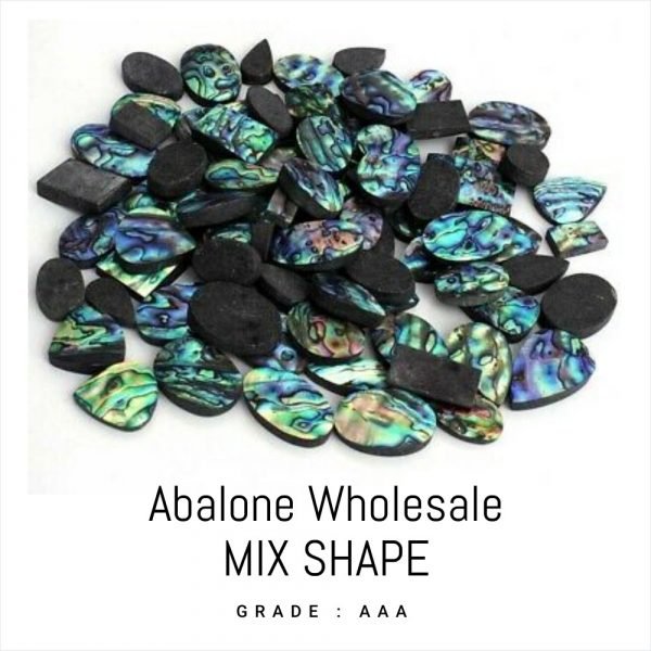 Abalone Free Size Mix Shape Natural Paua Shell Wholesale Lot 100 Grams